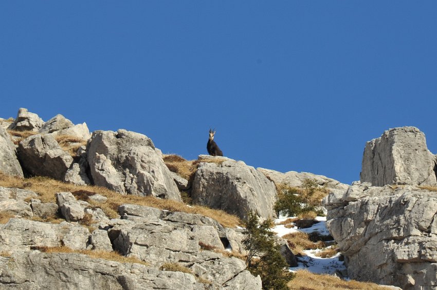 70 - Zorzone - Cima Menna.jpg